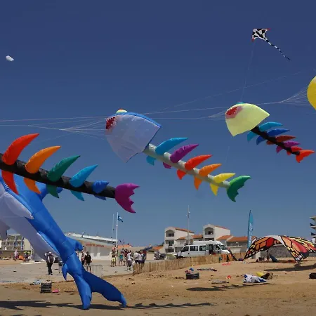 Dame De Monts - 34m², 5 Pers, Animaux Admis - Fr-1-540-194 Apartment