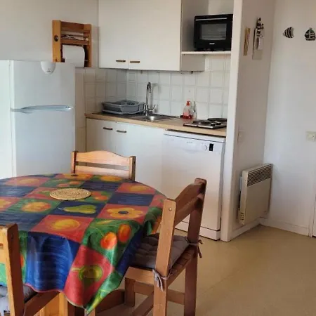 Bord De Mer, 5 Pers., Animaux Admis, Parking, Balcon Equipe - Fr-1-540-194 *