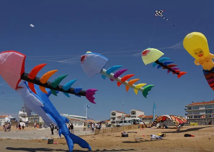 Dame De Monts - 34m², 5 Pers, Animaux Admis - Fr-1-540-194 Apartment